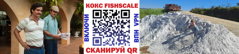 Купить  Людиново  COCAIN Fish Scale 