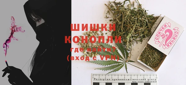 прущие грибы Красноперекопск