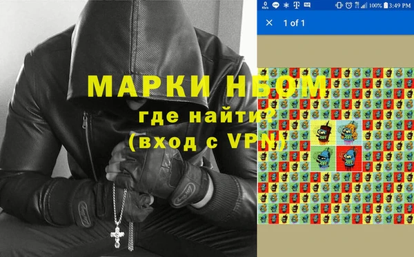 прущие грибы Красноперекопск