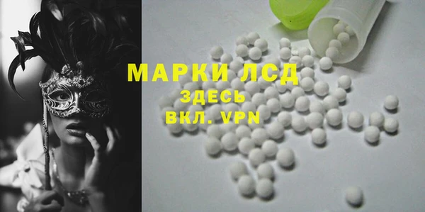 прущие грибы Красноперекопск