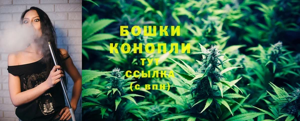 прущие грибы Красноперекопск