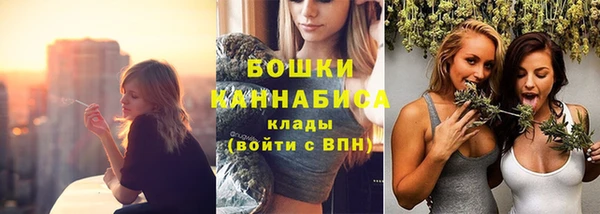 a pvp Краснослободск
