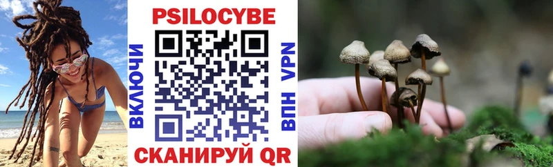 Купить  Людиново  Галлюциногенные грибы MAGIC MUSHROOMS 